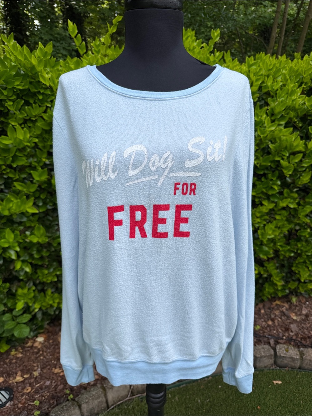 Wildfox Light Blue 'Will Dog Sit For Free' Pullover Sweatshirt